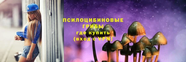 бутират Сатка