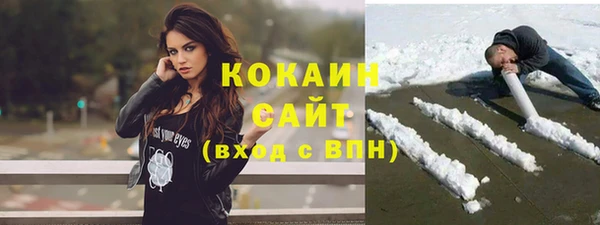 шишки Абаза