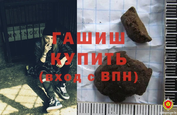 шишки Абаза