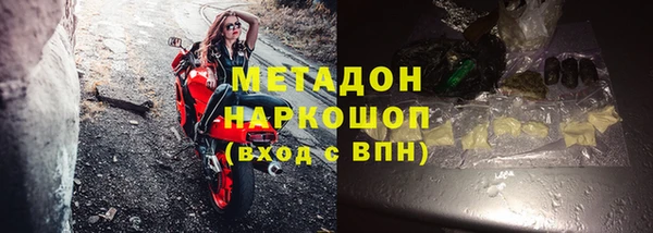 шишки Абаза